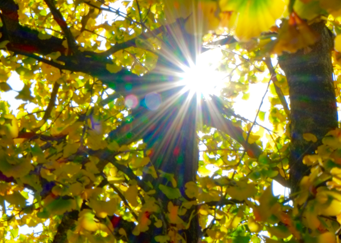 Image for article Uomo interrompe la chemioterapia e trova una nuova vita grazie alla pratica della Dafa