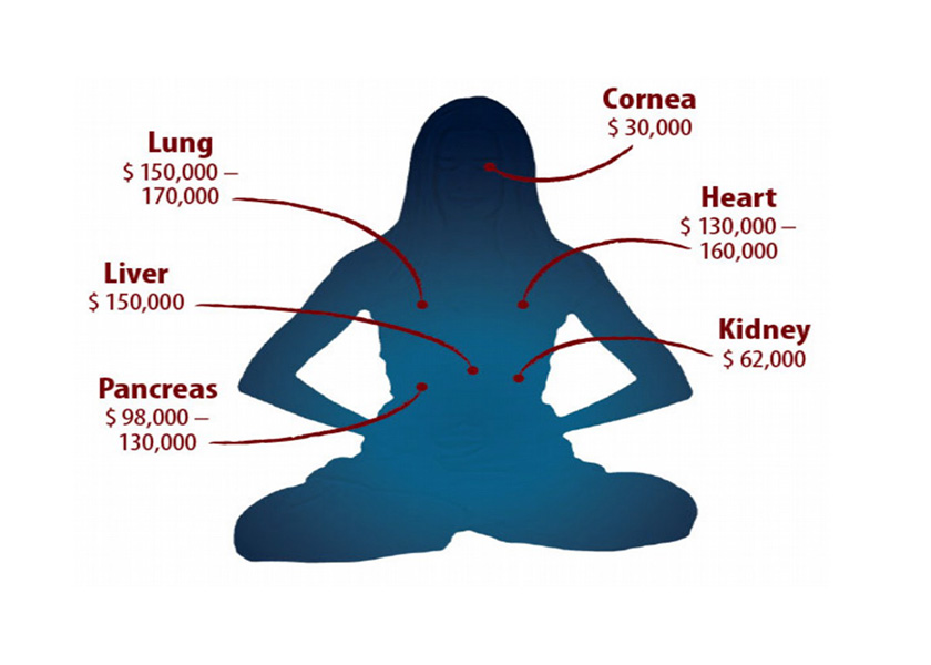 Image for article Prelievo forzato di organi da parte del PCC: Dopo 20 anni a che punto siamo oggi?