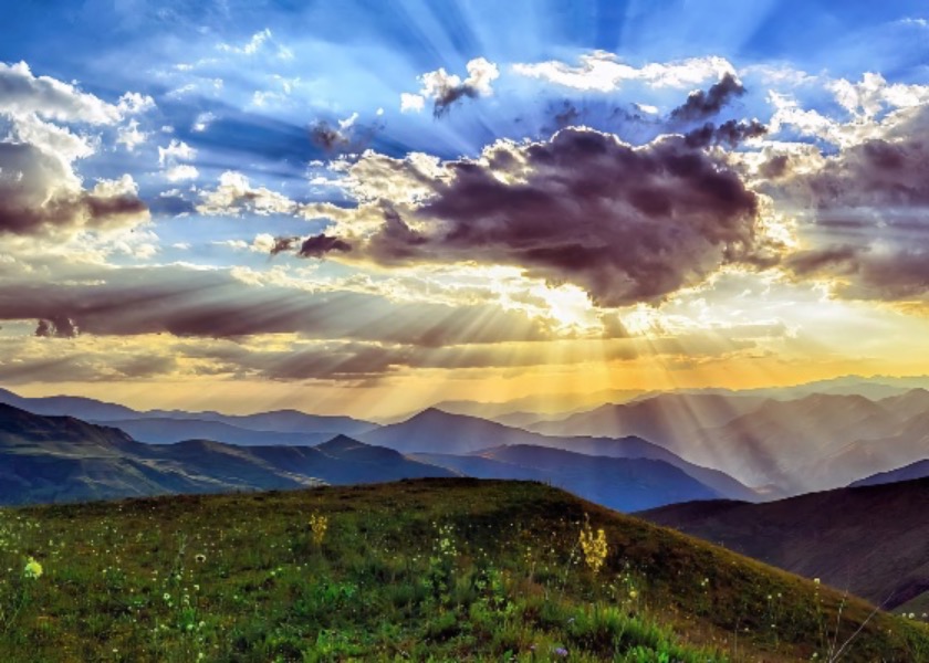 Image for article Le miracolose esperienze di coltivazione di una coppia ultranovantenne