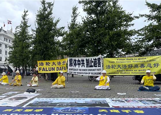 Image for article Copenaghen: Sensibilizzazione sulla persecuzione del PCC che dura da 27 anni