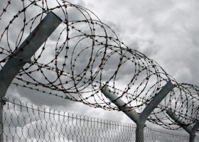 Image for article Jilin: Praticante malata di 88 anni arrestata per scontare una pena detentiva di quattro anni